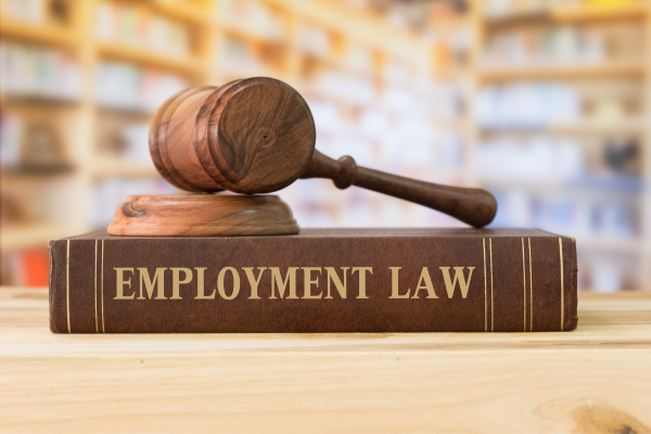 Employment Lawyers: What do they do?