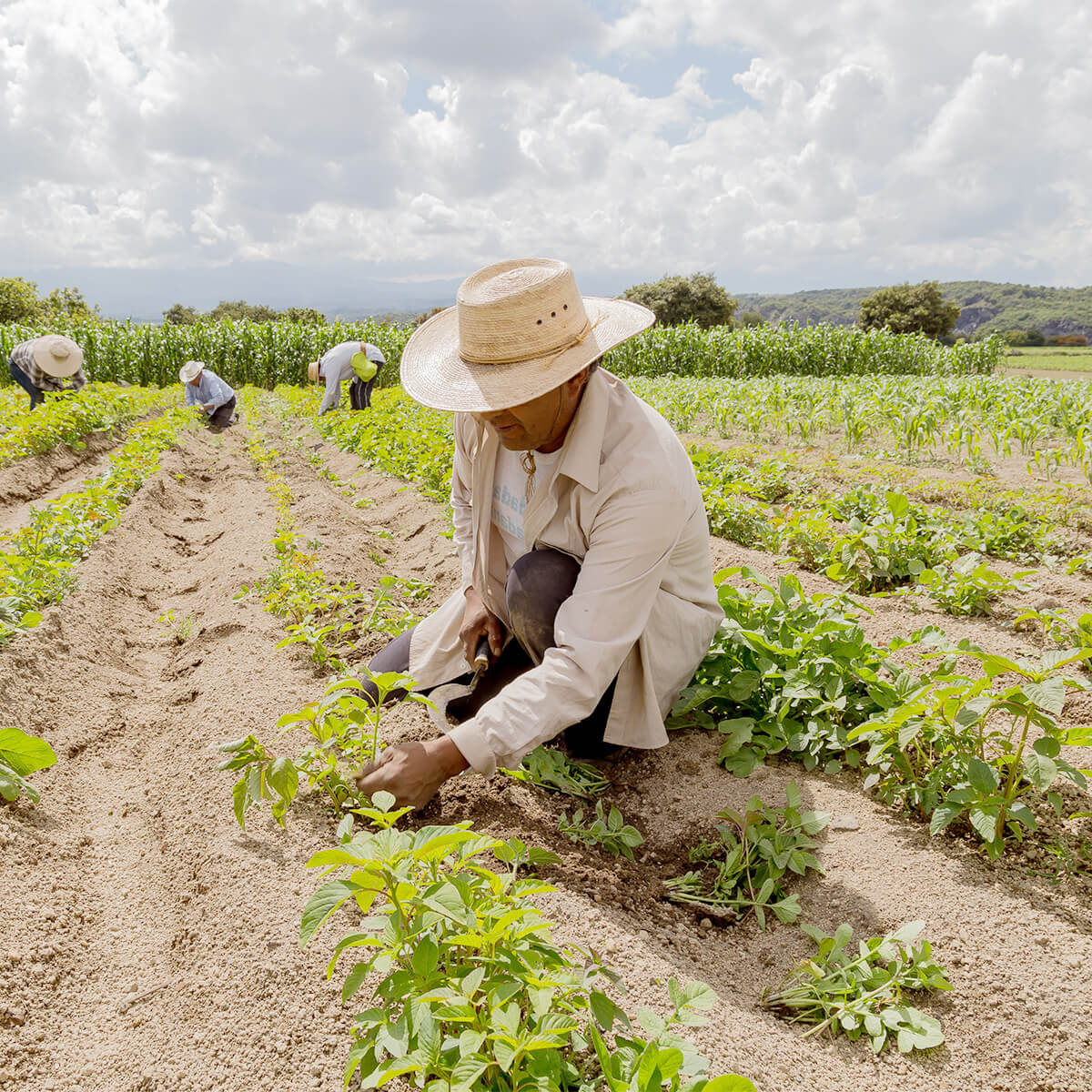 Unpaid Wages Class Action Settlement